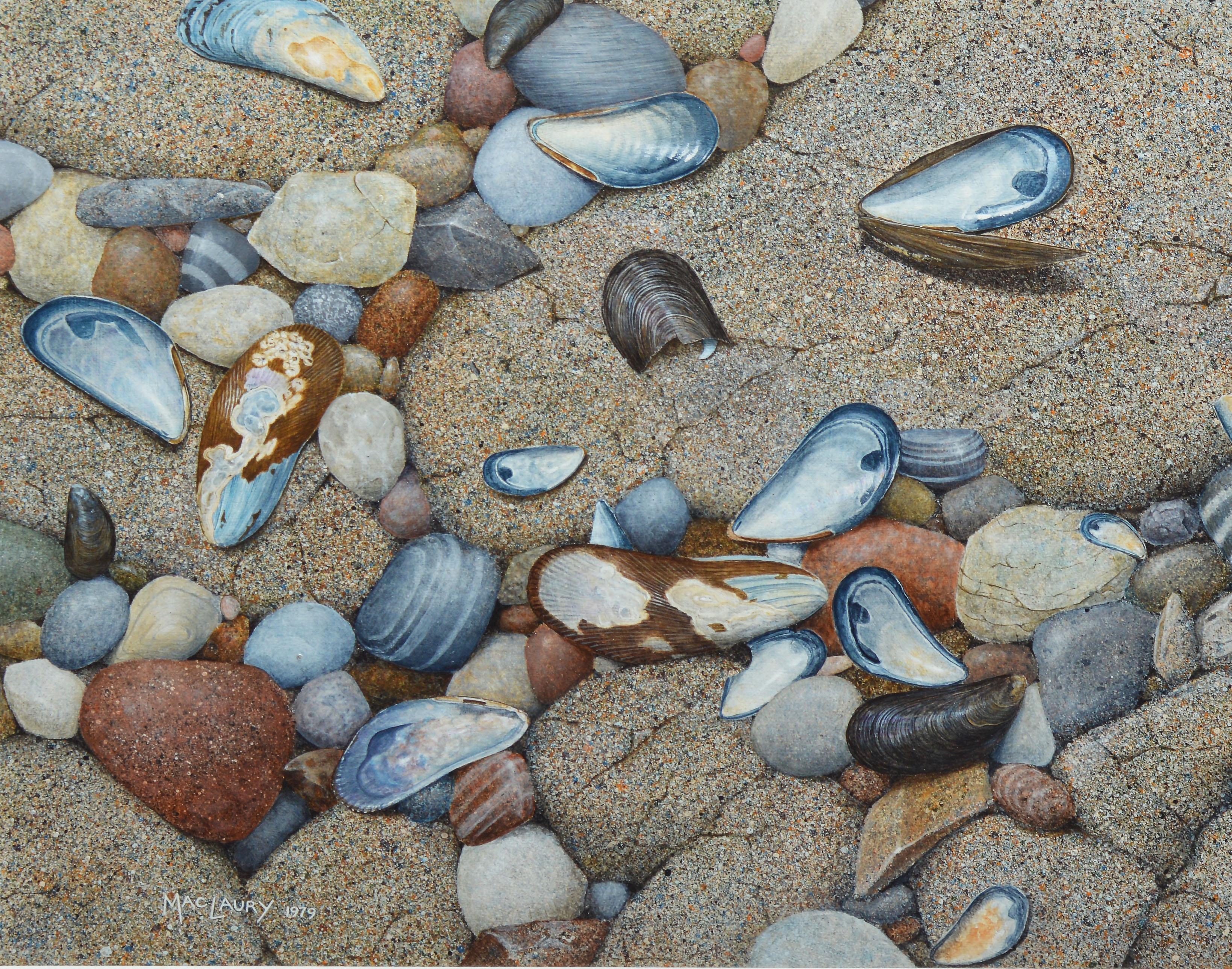 Vintage American School Trompe L'Oeil Beach Shell Still Life Signed Oil Painting 2