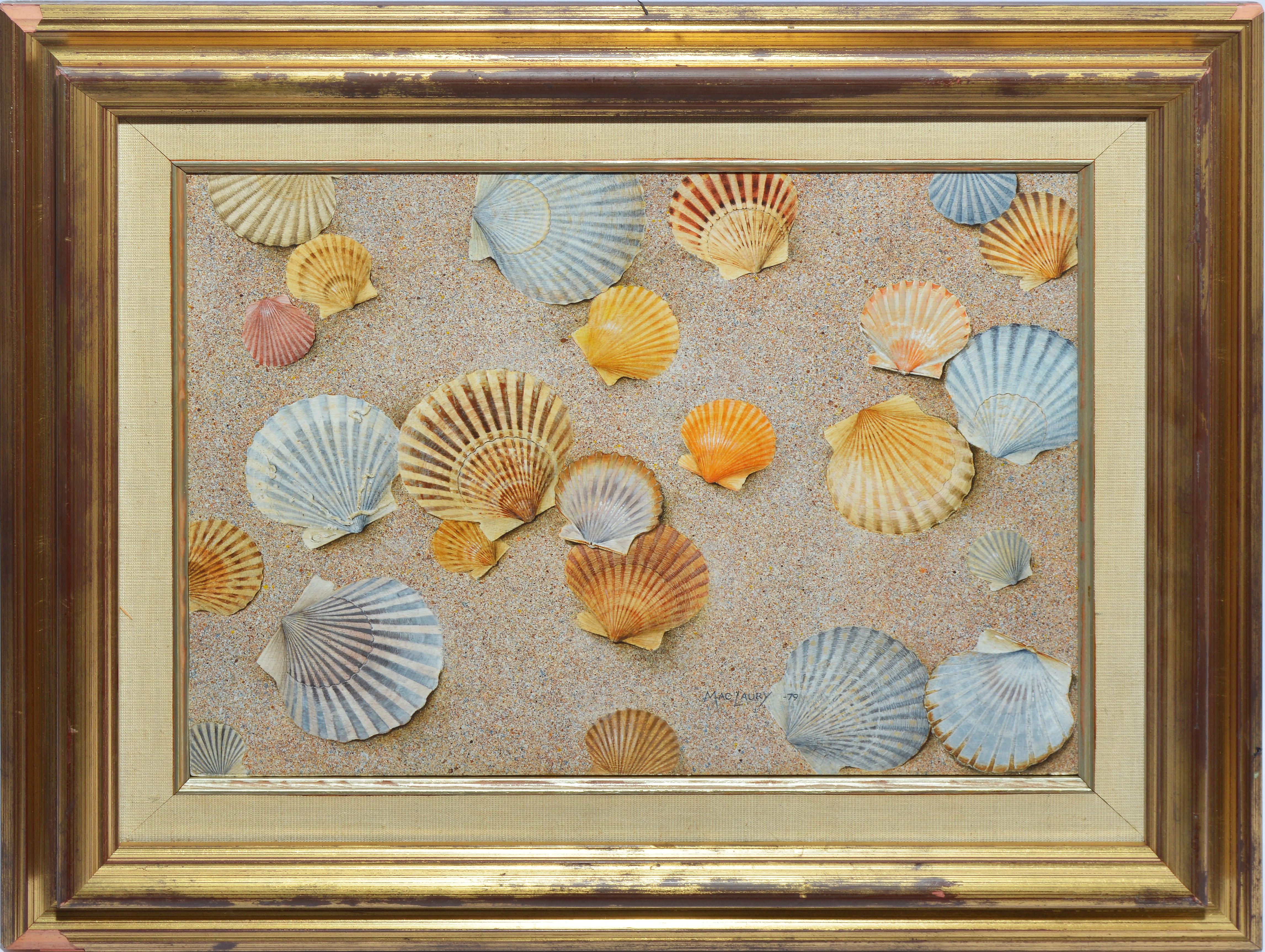 Unknown Still-Life Painting - Vintage American School Trompe L'Oeil Beach Shell Still Life Signed Oil Painting