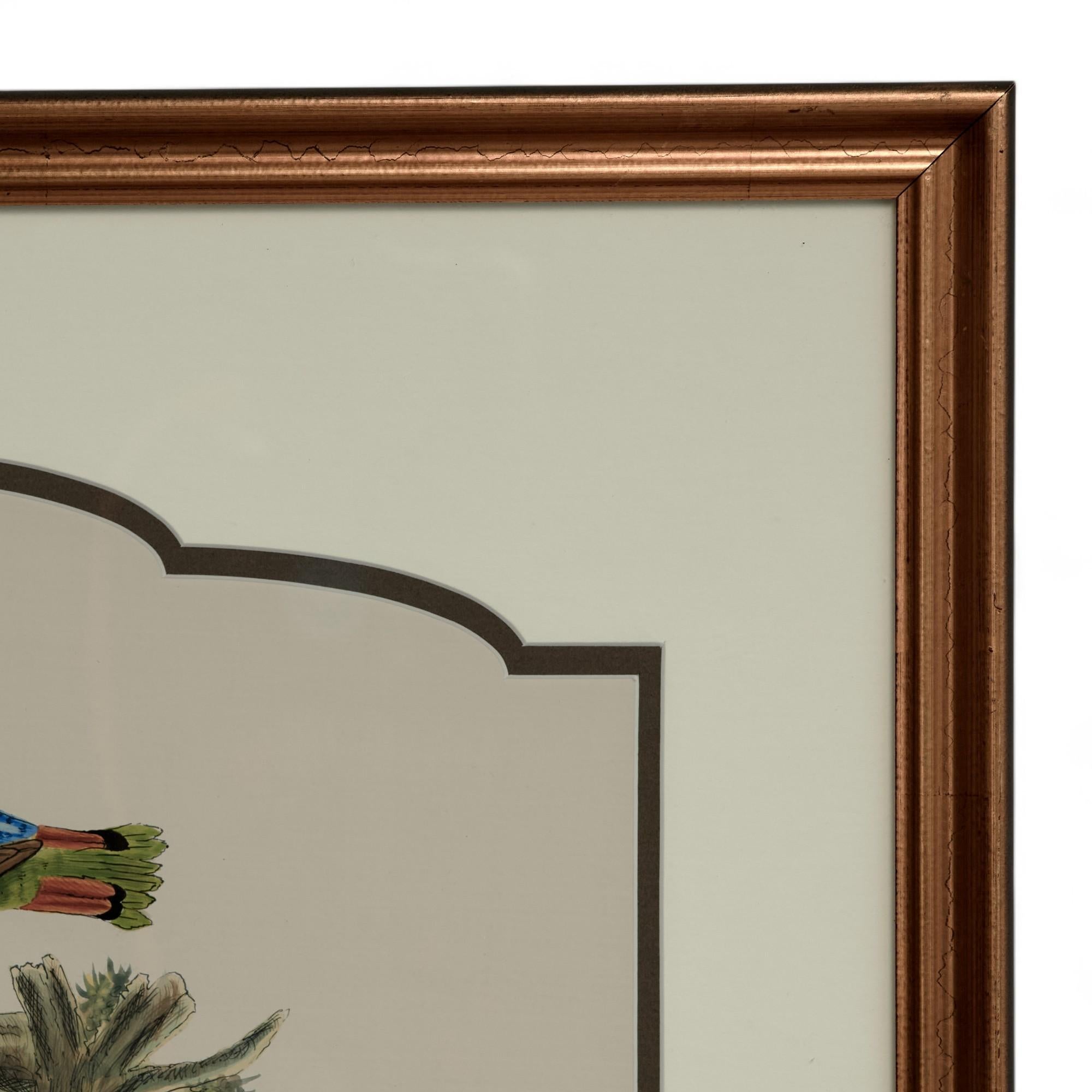 Paire de peintures vintage à l'encre et à l'aquarelle représentant des perroquets en vente 7