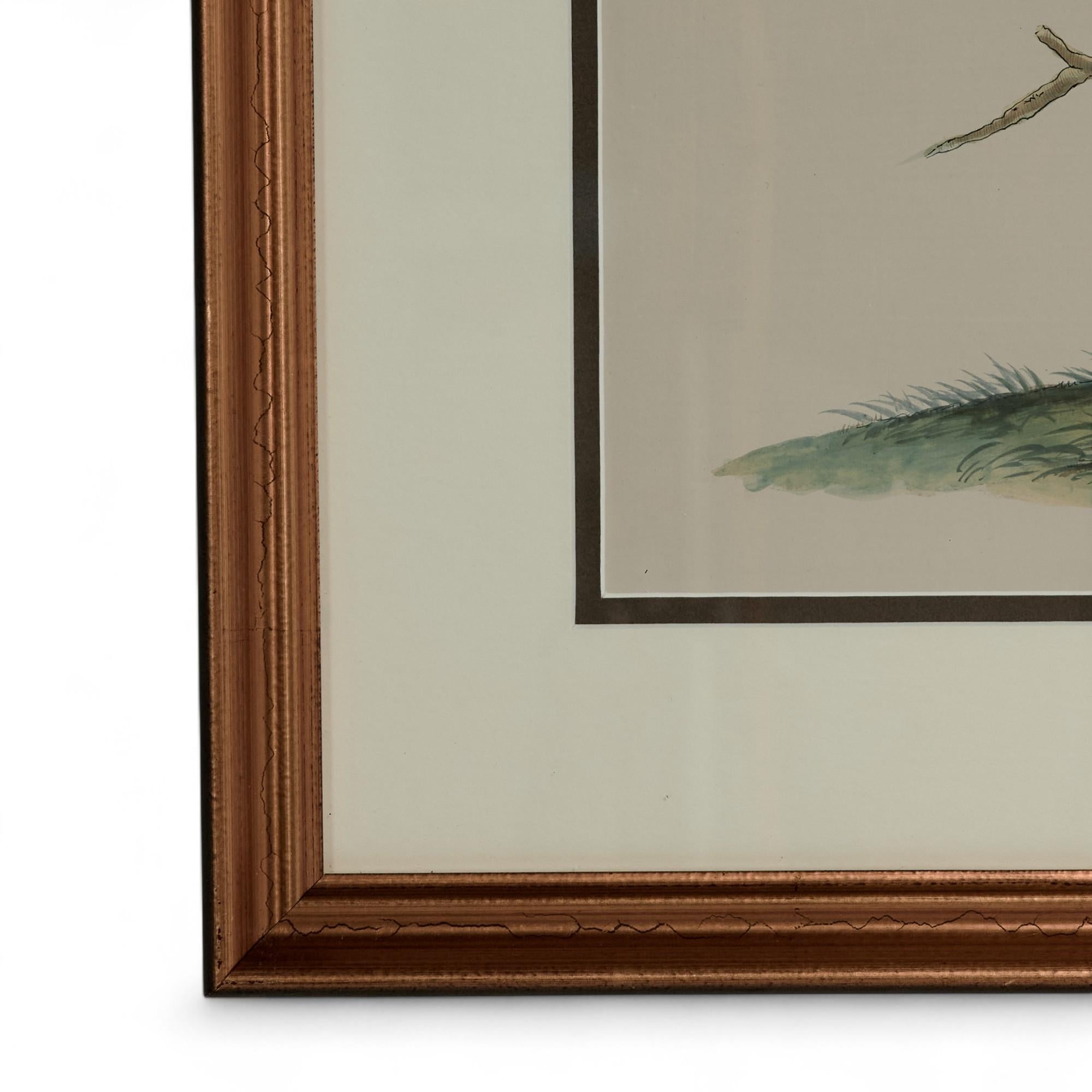 Paire de peintures vintage à l'encre et à l'aquarelle représentant des perroquets en vente 8