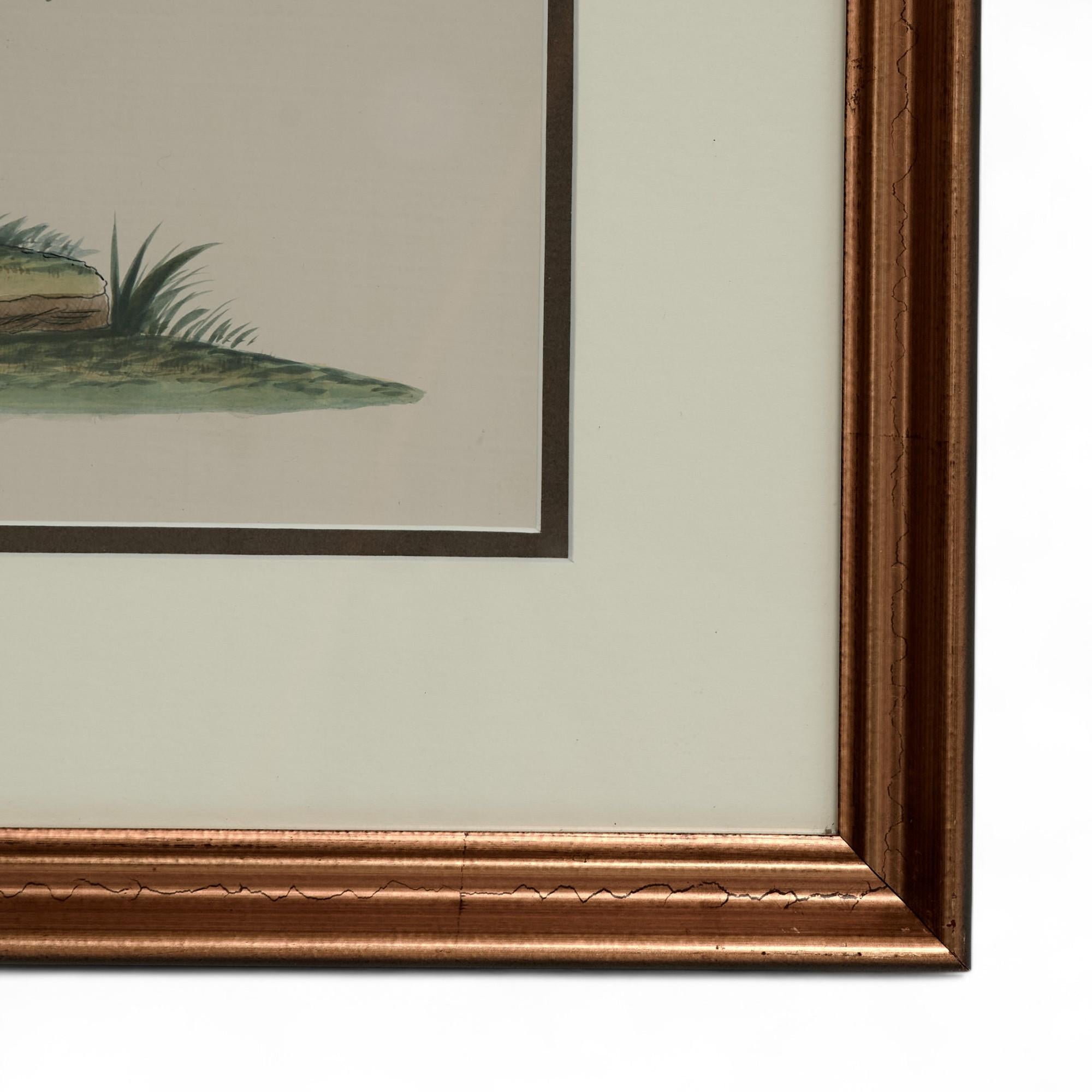 Paire de peintures vintage à l'encre et à l'aquarelle représentant des perroquets en vente 9