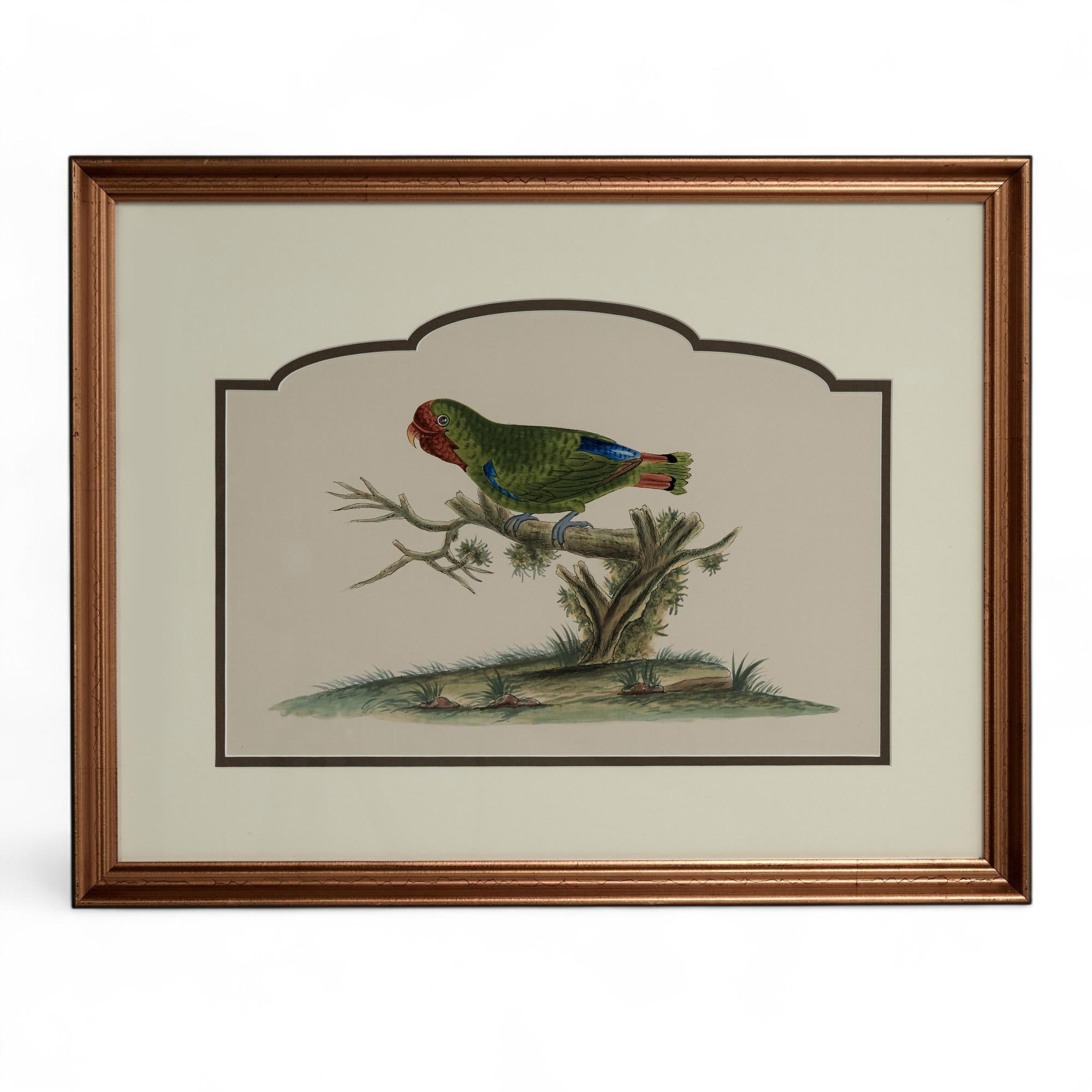 Paire de peintures vintage à l'encre et à l'aquarelle représentant des perroquets en vente 4