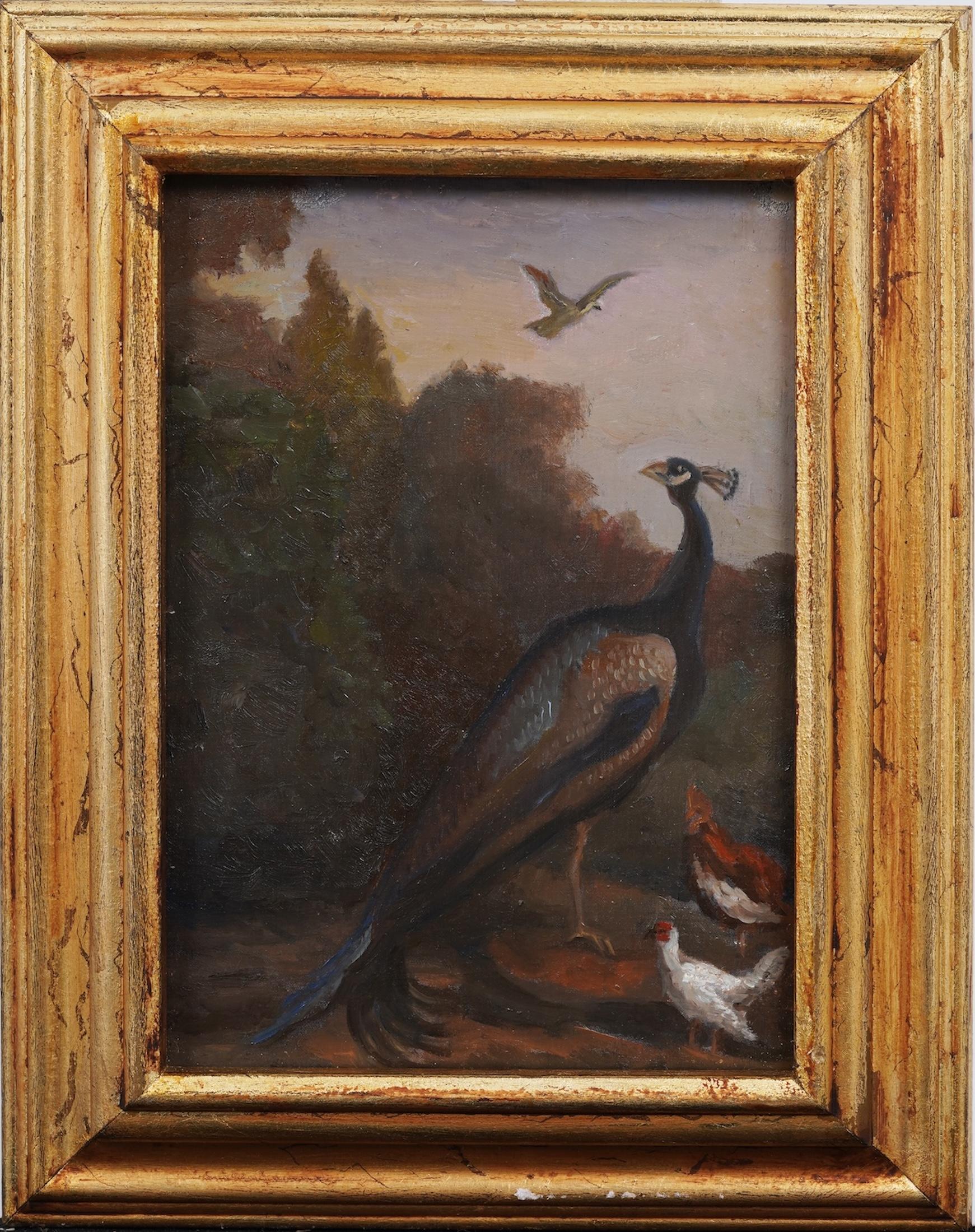 Unknown Animal Painting - Vintage Paris School Peacock Portrait Framed Landscape Oil Painting