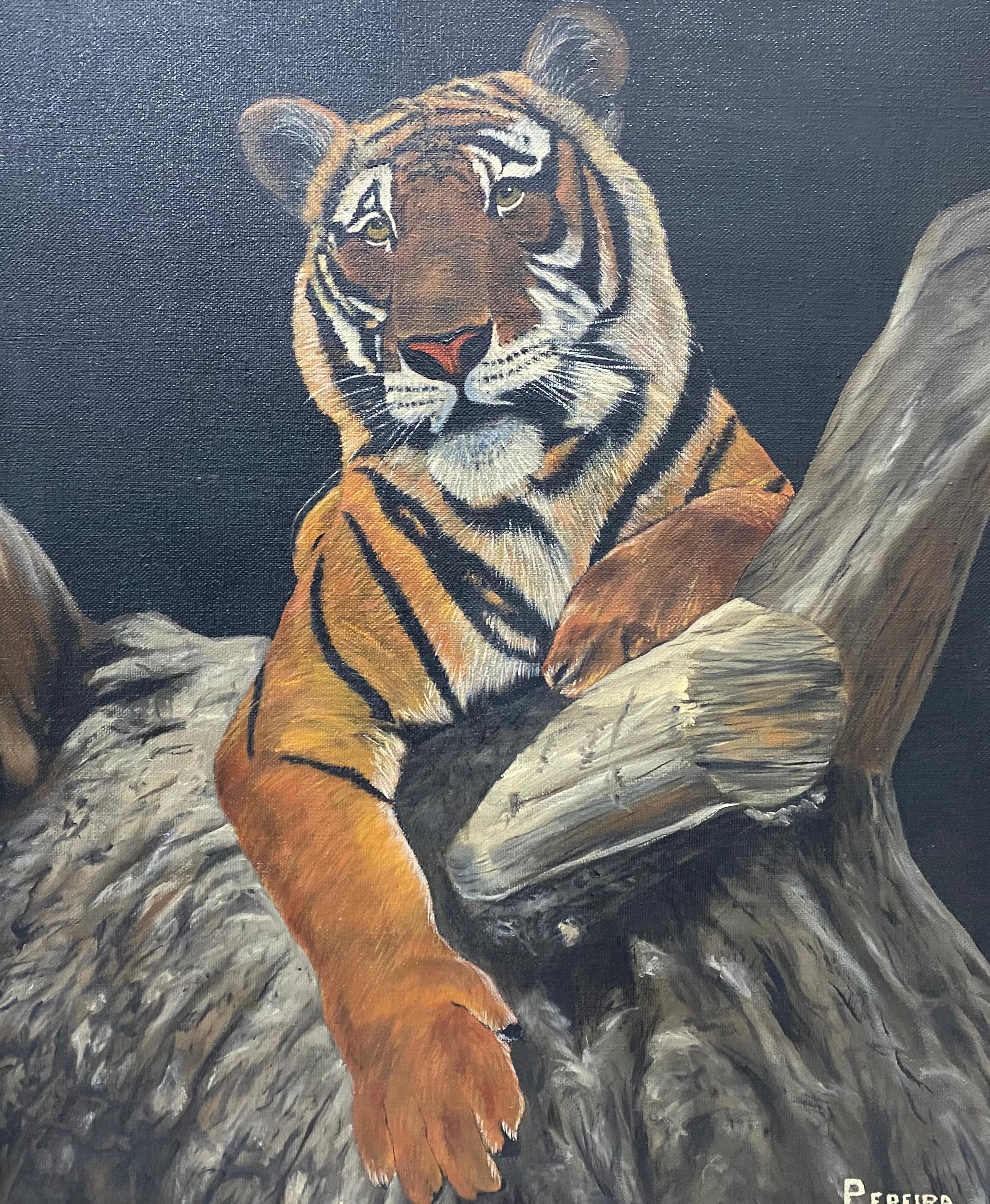 Vintage Portrait of a Tiger in a Tree by Periera C.1970 1