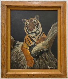 Vintage Portrait of a Tiger in a Tree by Periera C.1970