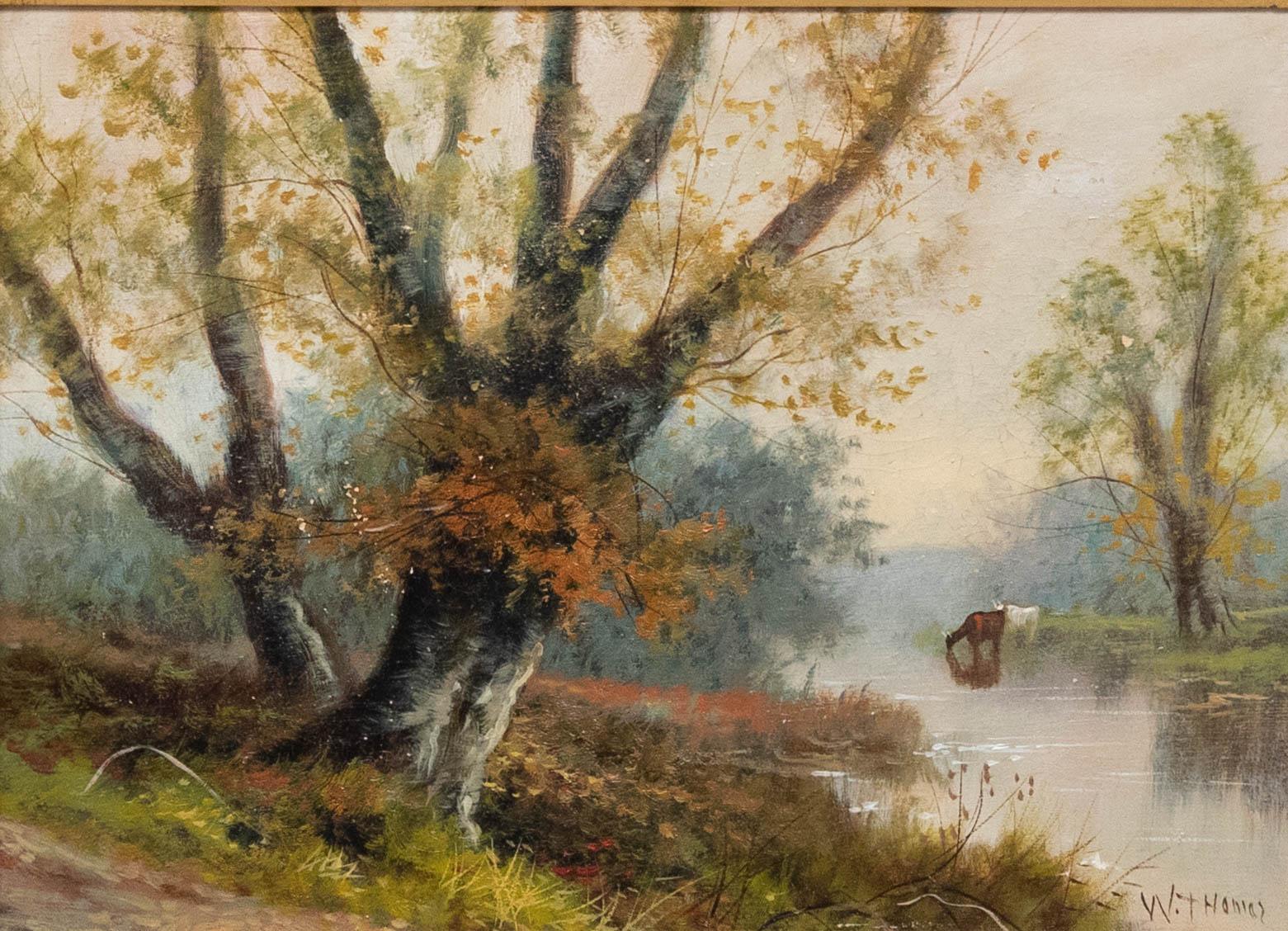W. Thomas - Olio dei primi del Novecento incorniciato, Paesaggio autunnale con bovini - Painting di Unknown