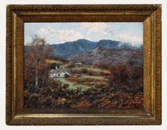 Vintage Walter Boodle (1859-1914) - Framed Early 20th Century Oil, Summit of Cader Idris