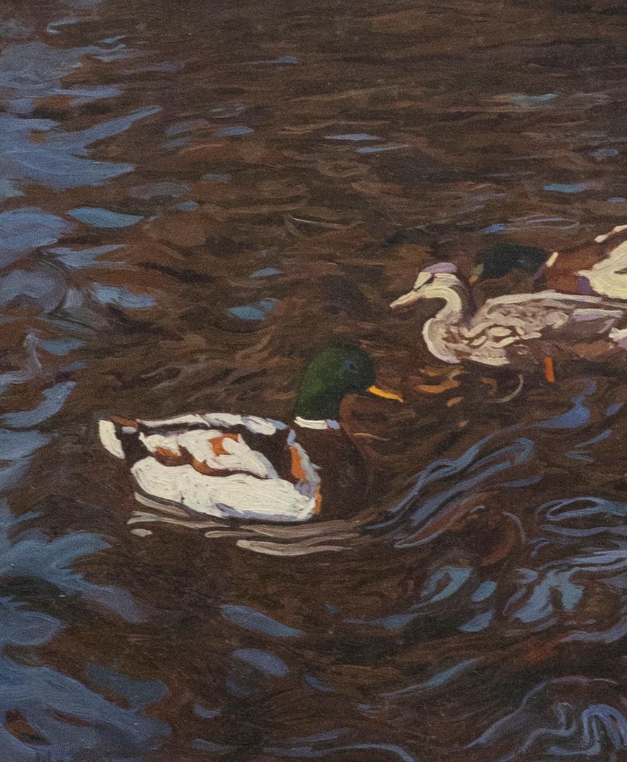 Warren - Framed 20th Century Oil, Ducks on the Water - Painting by Unknown