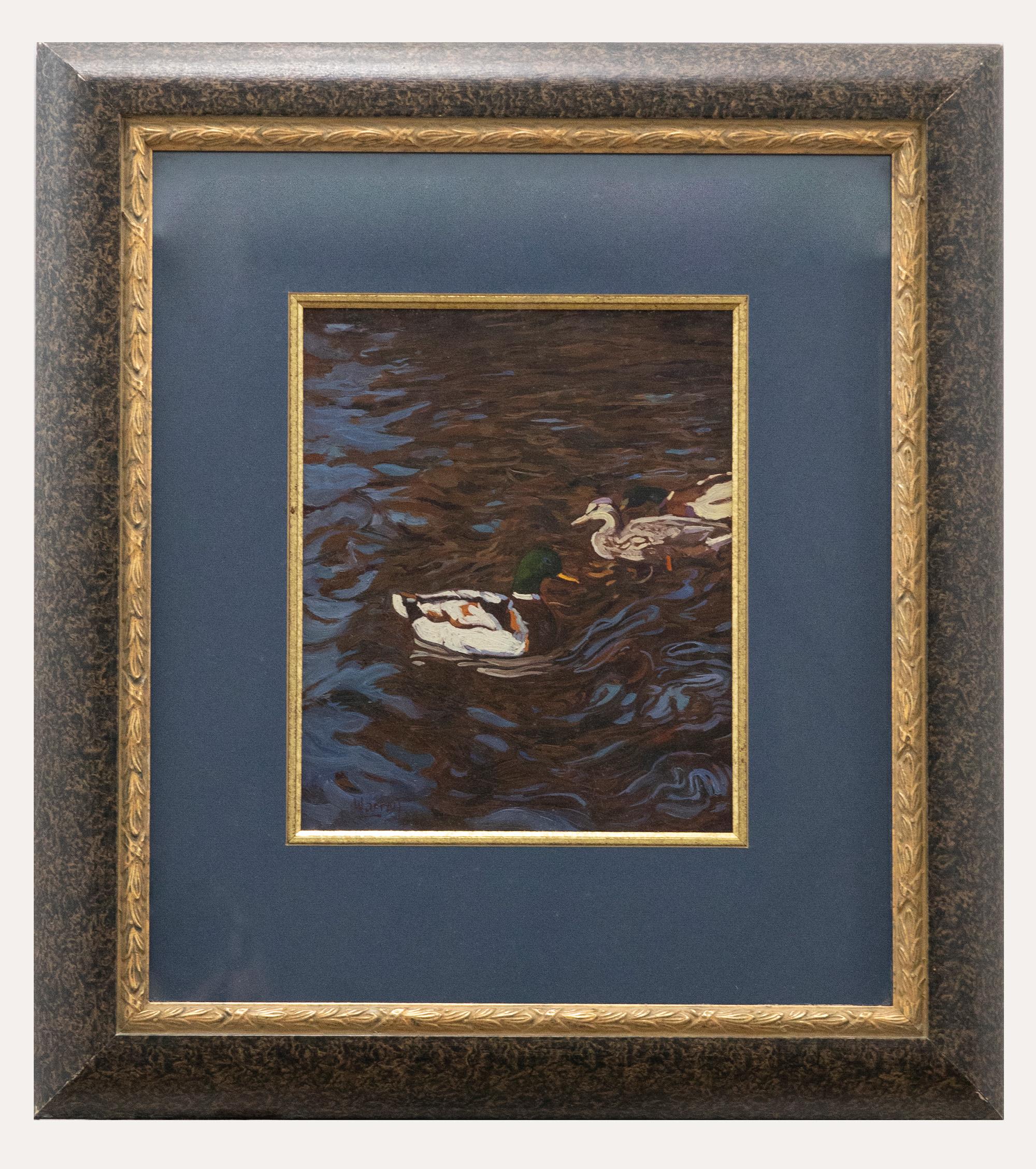 Unknown Animal Painting - Warren - Framed 20th Century Oil, Ducks on the Water