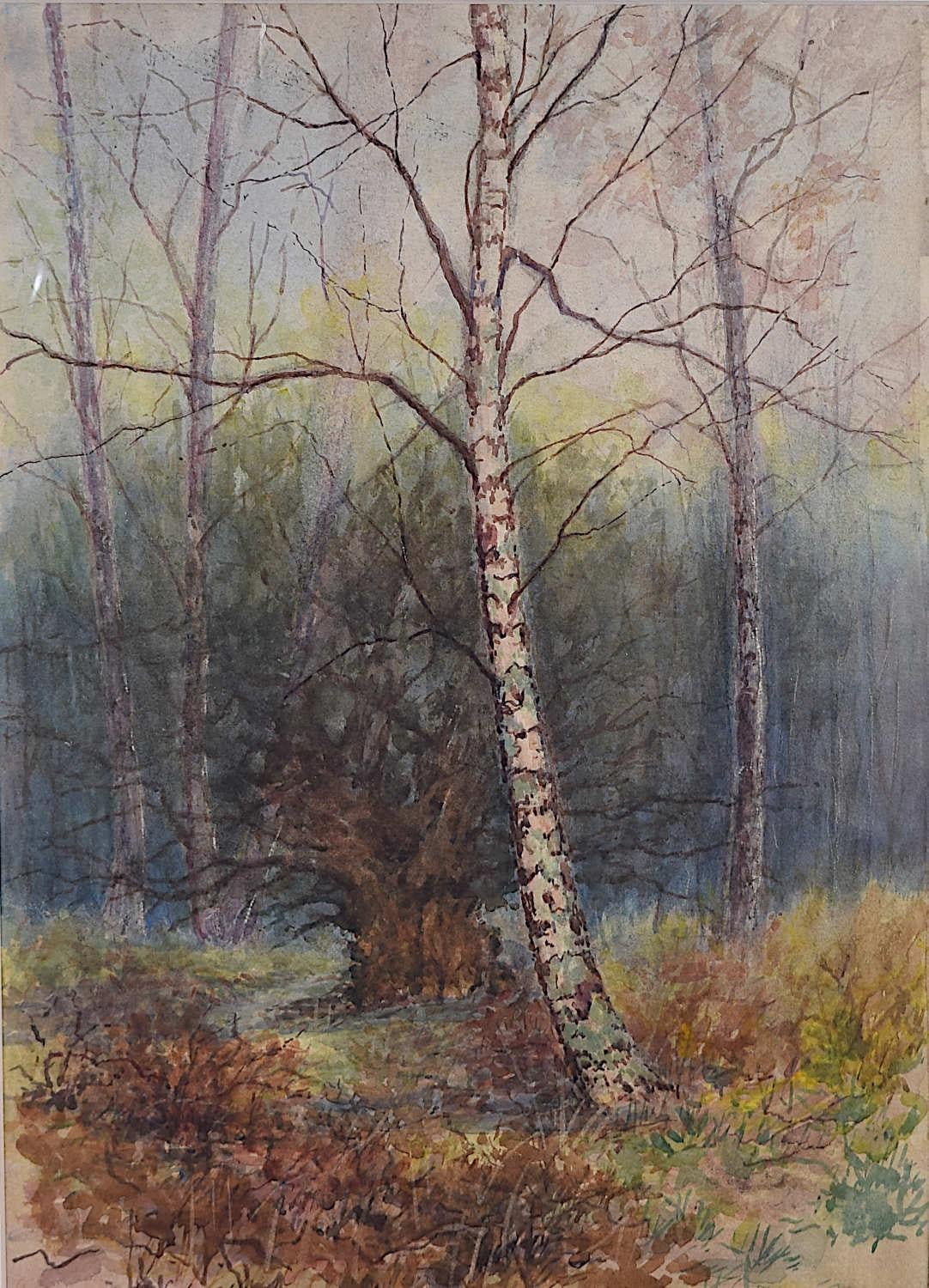 Landscape Art Unknown - Watercolour of Leigh Woods