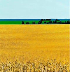 Wheat field, Ukraine by Vokiana 