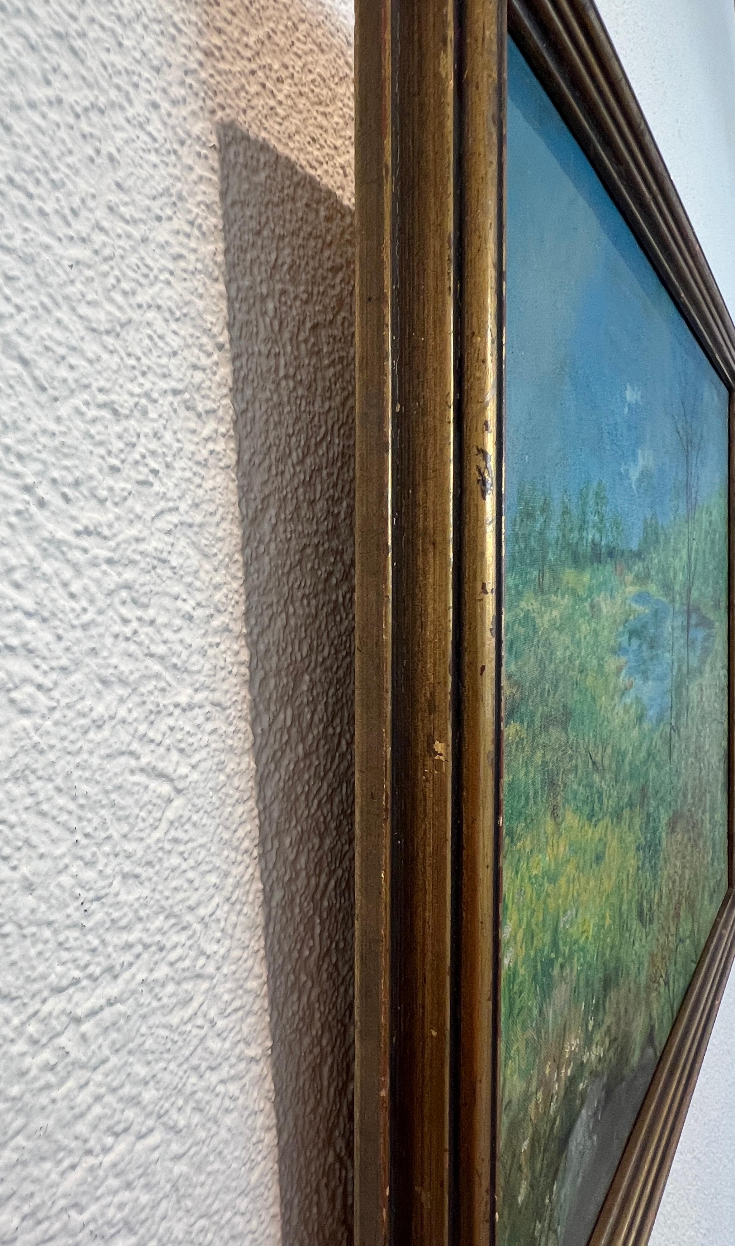 Wilder Teich im Angebot 5