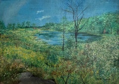 Wild pond