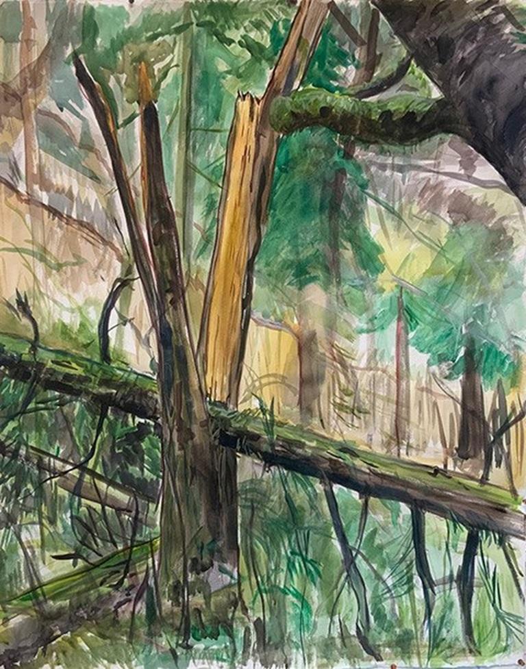 Winter Split Tree, Aquarell auf Papier Gemälde von Daniel Duford, 2023