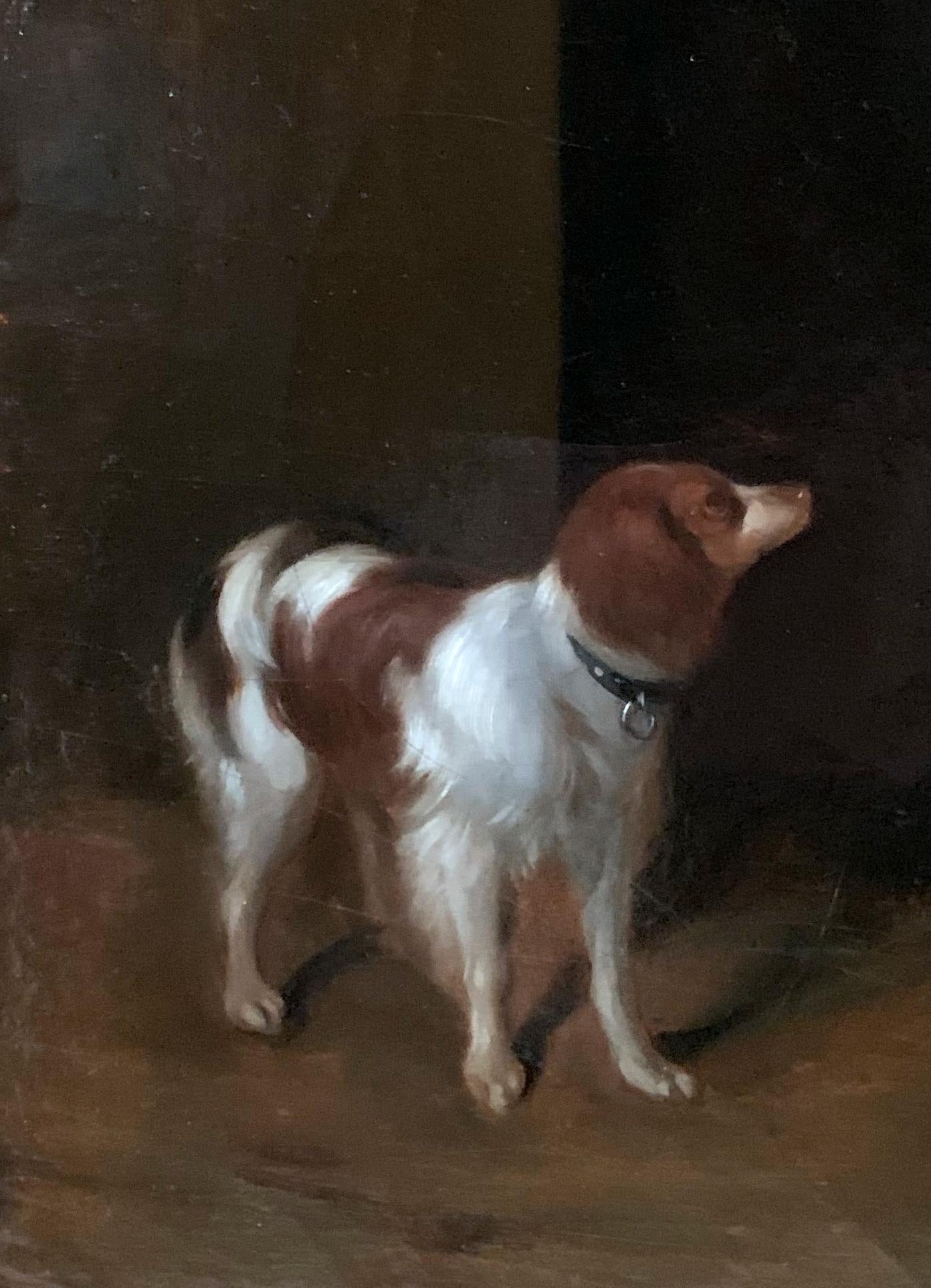 Mujer con perro (estilo) Gérard ter Borch (1617/1681) en venta 2