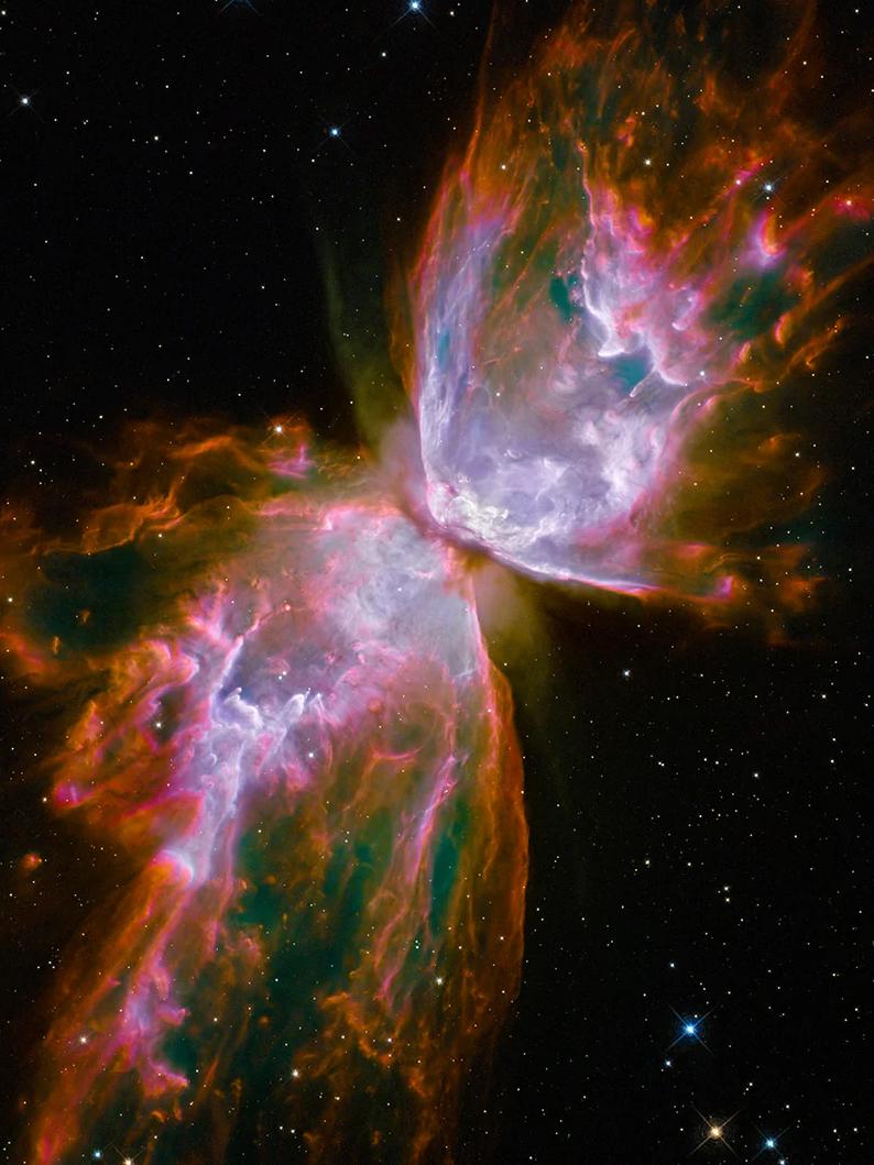 Unknown Color Photograph – 36x48  „HUBBLE BUTTERFLY NEBULA“ Teleskop-Raumfotografie NASA Archivdruck