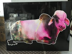 abstract cow