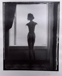 Abstract Female Nude