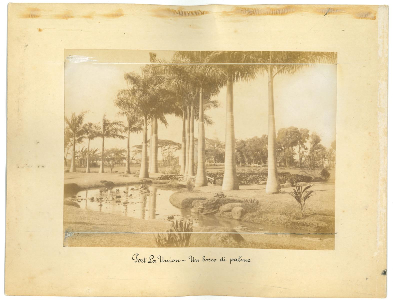 Ancient View of Puerto La Unión, El Salvador -  Vintage Photo - 1880s - Photograph by Unknown