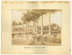 Ancient View of Puerto La Unión, El Salvador -  Vintage Photo - 1880s