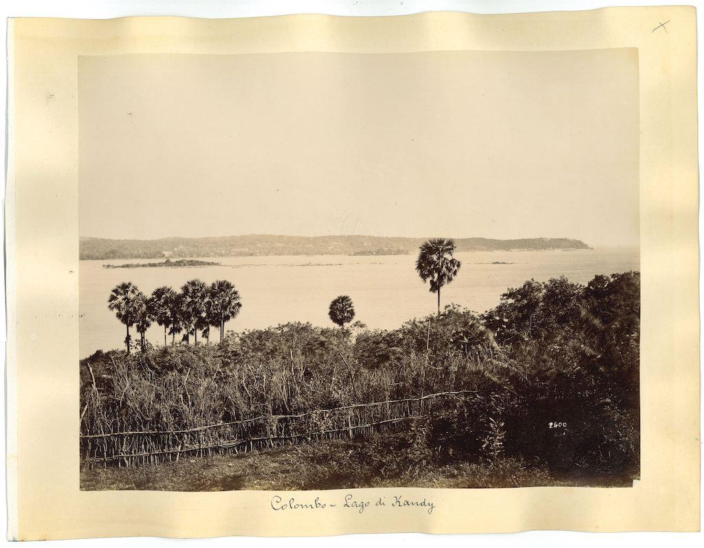 Landscape Photograph di Unknown - Viste antiche  di Colombo, Sri Lanka - Stampe originali all'albumina - Anni 1880/90