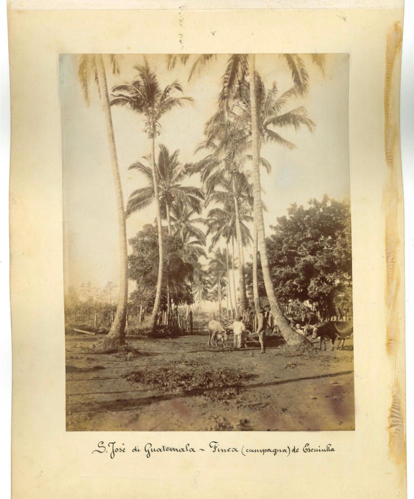 Ancient Views of S. Josè, Guatemala - Vintage Photos 1880s - Photograph by Unknown