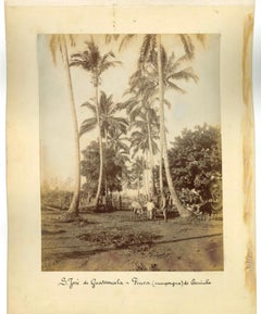 Ancient Views of S. Josè, Guatemala - Vintage Photos 1880s
