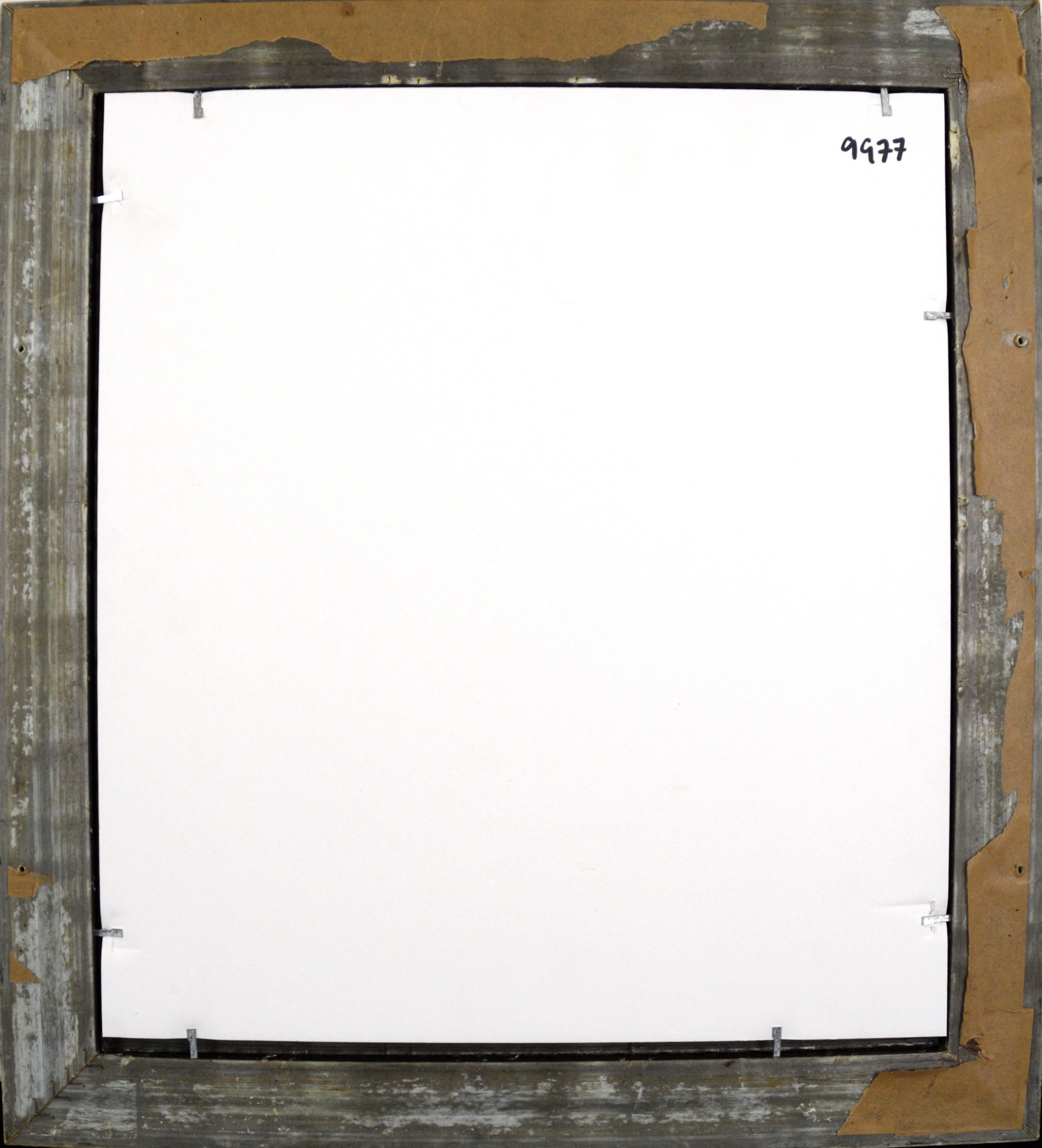 Photo ancienne coloriée à la main - Waiānuenue, ou Rainbow Falls, Hawaii en vente 4