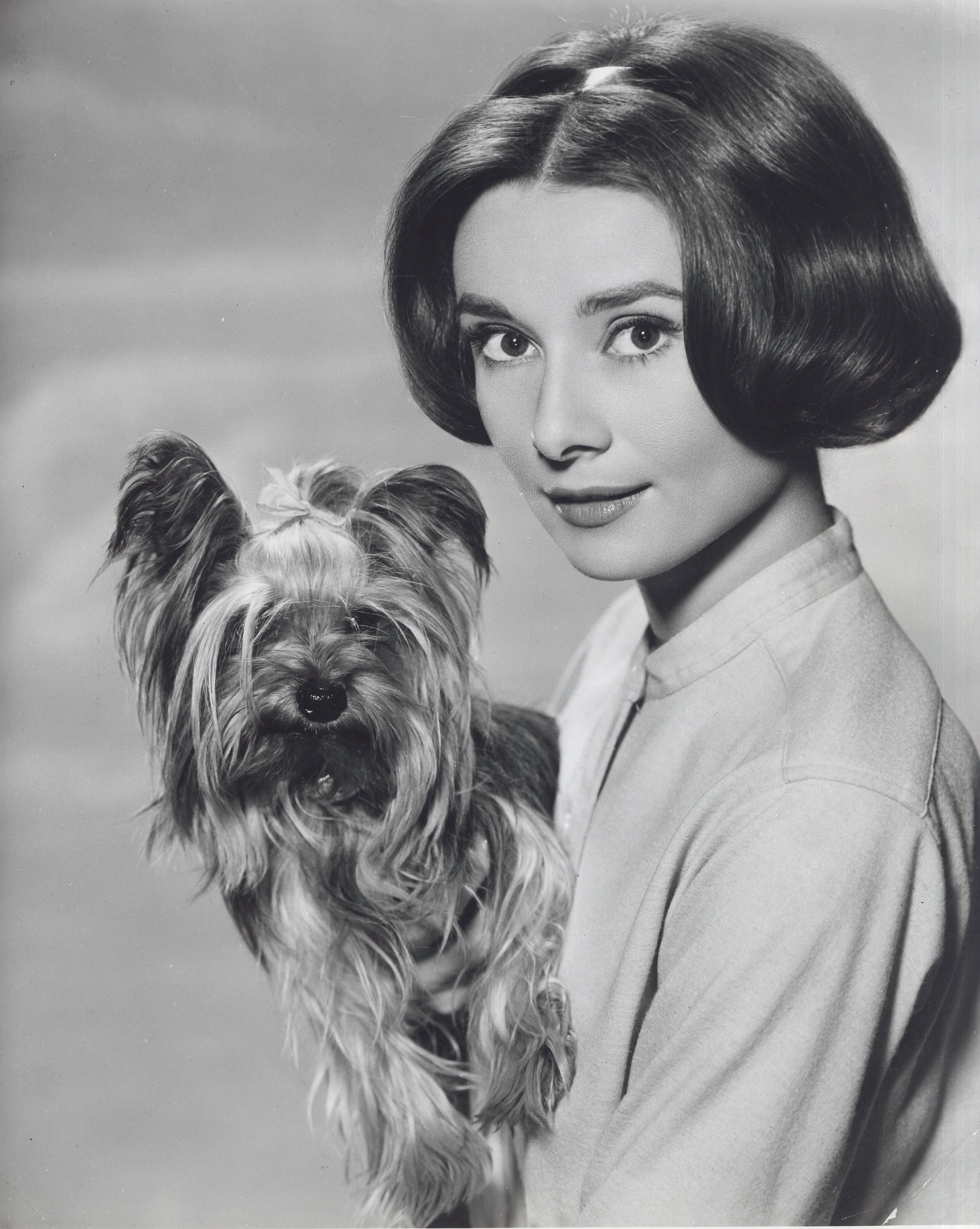 Unknown Portrait Photograph – Audrey Hepburn mit Hund in der Hand