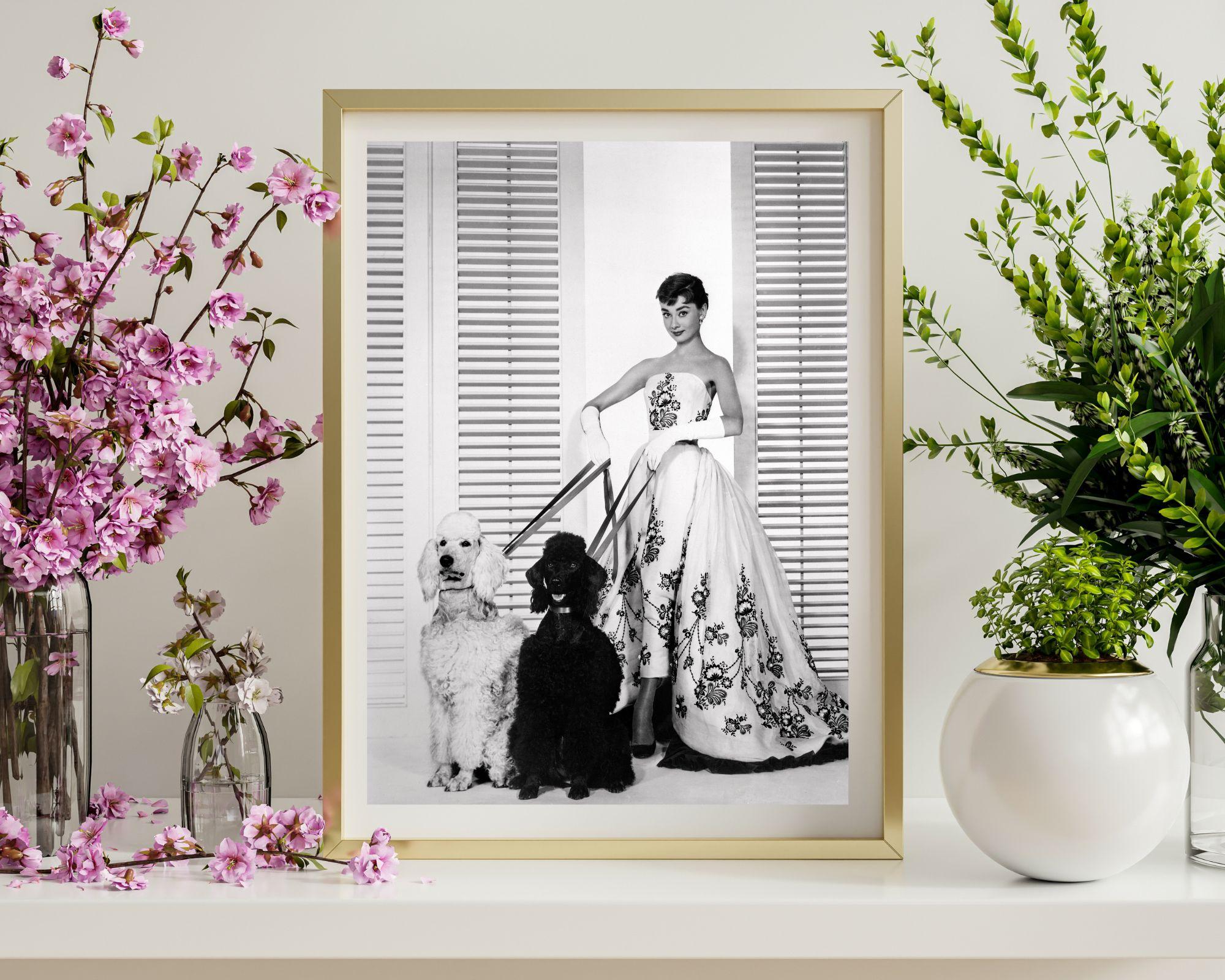 Audrey Hepburn en vestido con perros - Photograph de Unknown