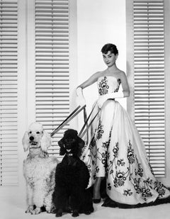 Audrey Hepburn in abito con i cani
