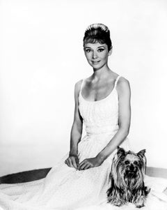 Audrey Hepburn sentada con su perro