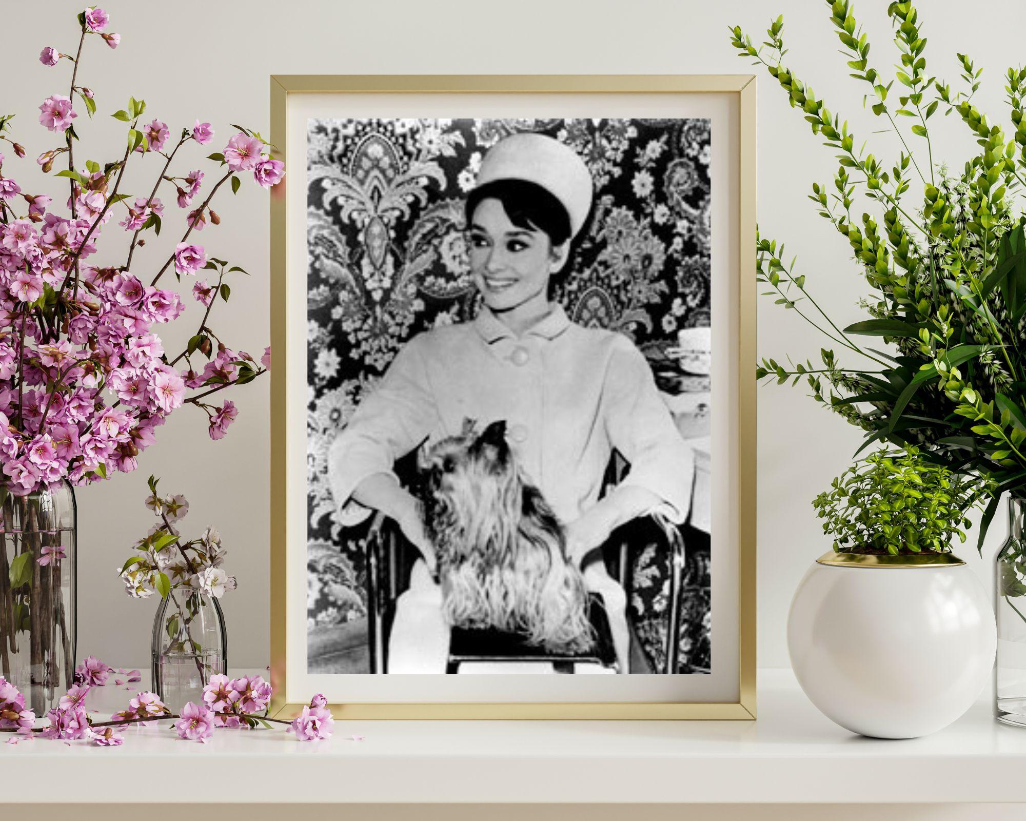 Audrey Hepburn che sorride con il cane - Photograph di Unknown