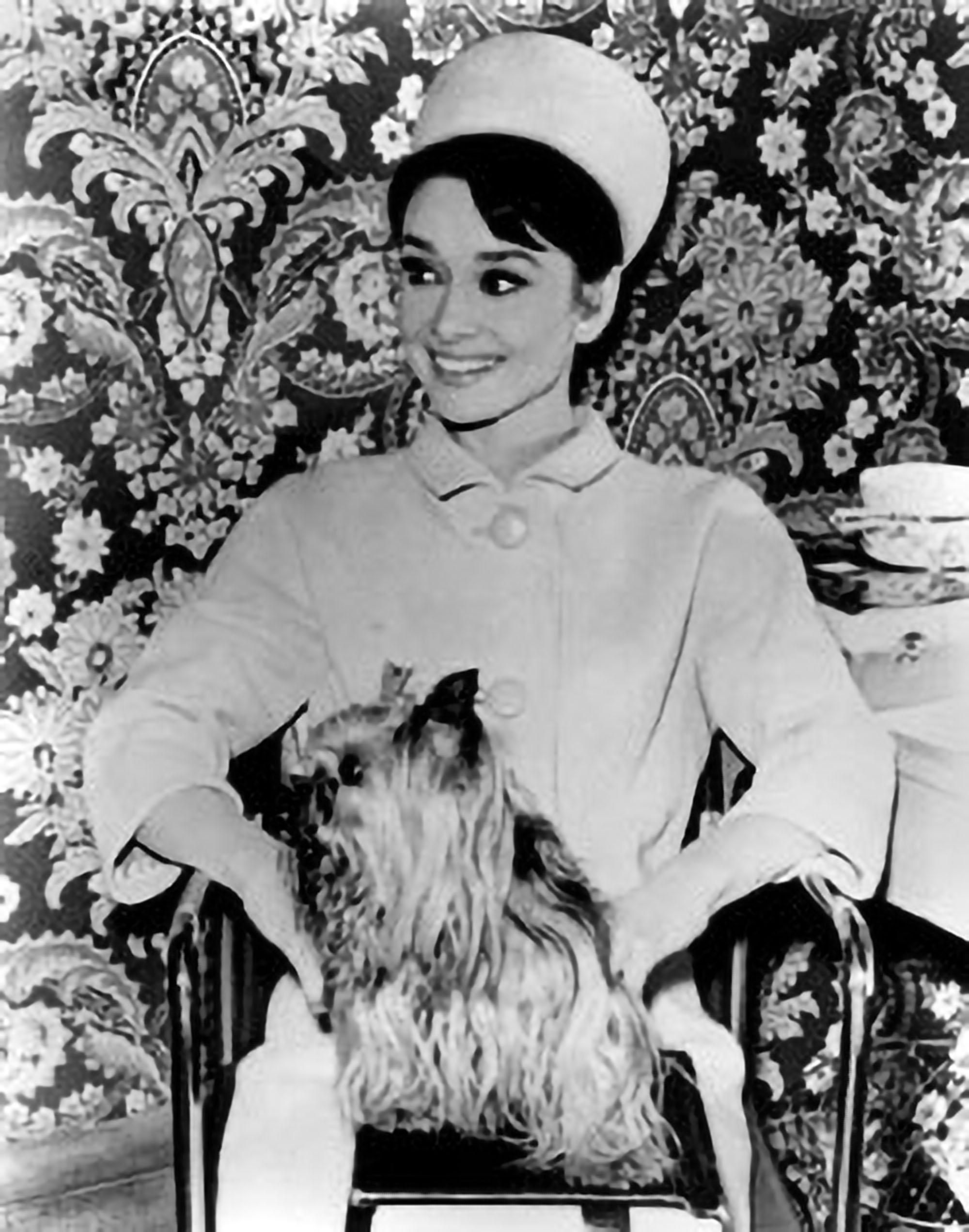 Black and White Photograph di Unknown - Audrey Hepburn che sorride con il cane