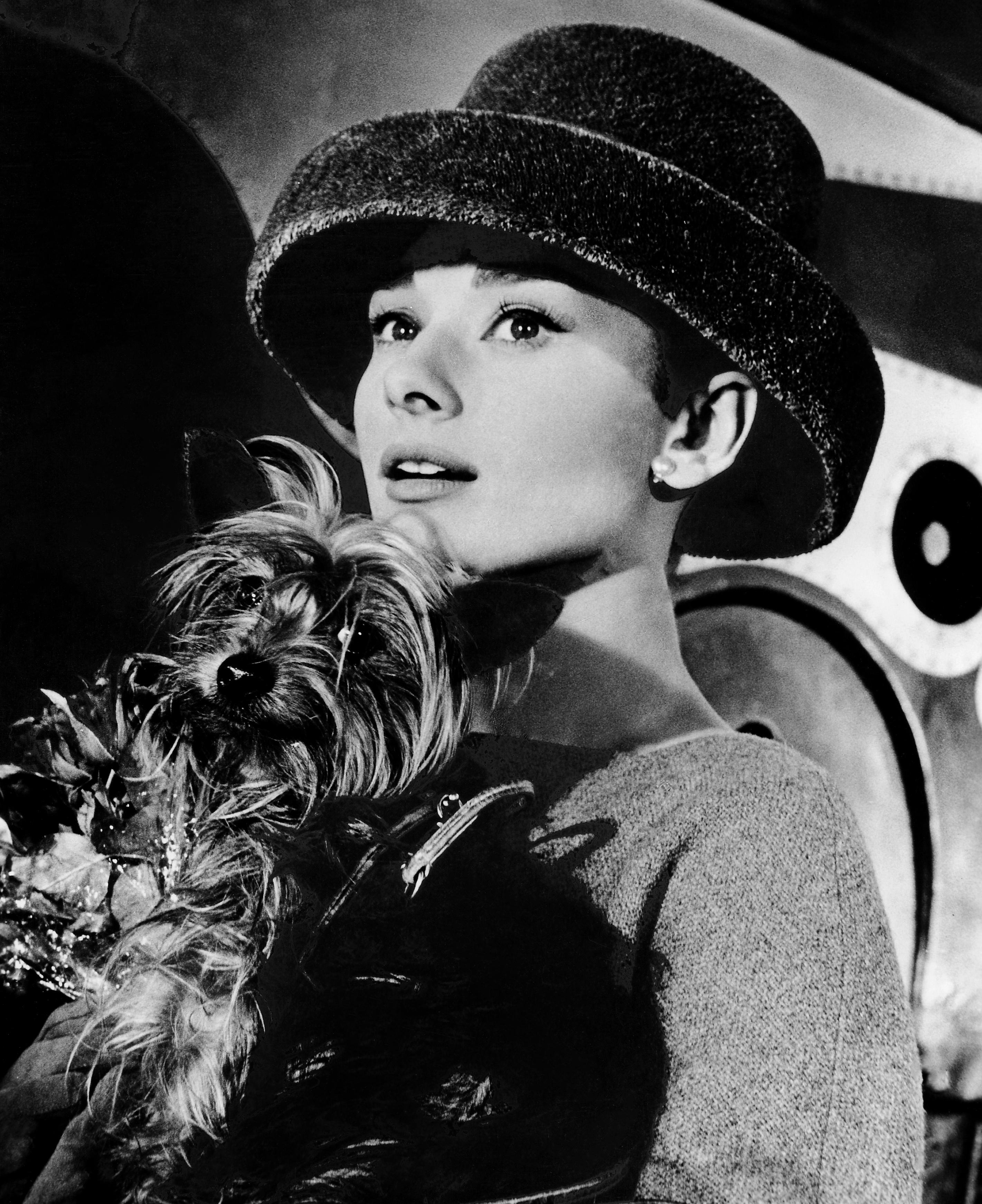 Unknown Portrait Photograph - Audrey Hepburn with Dog in "Funny Face" Globe Photos Fine Art Print