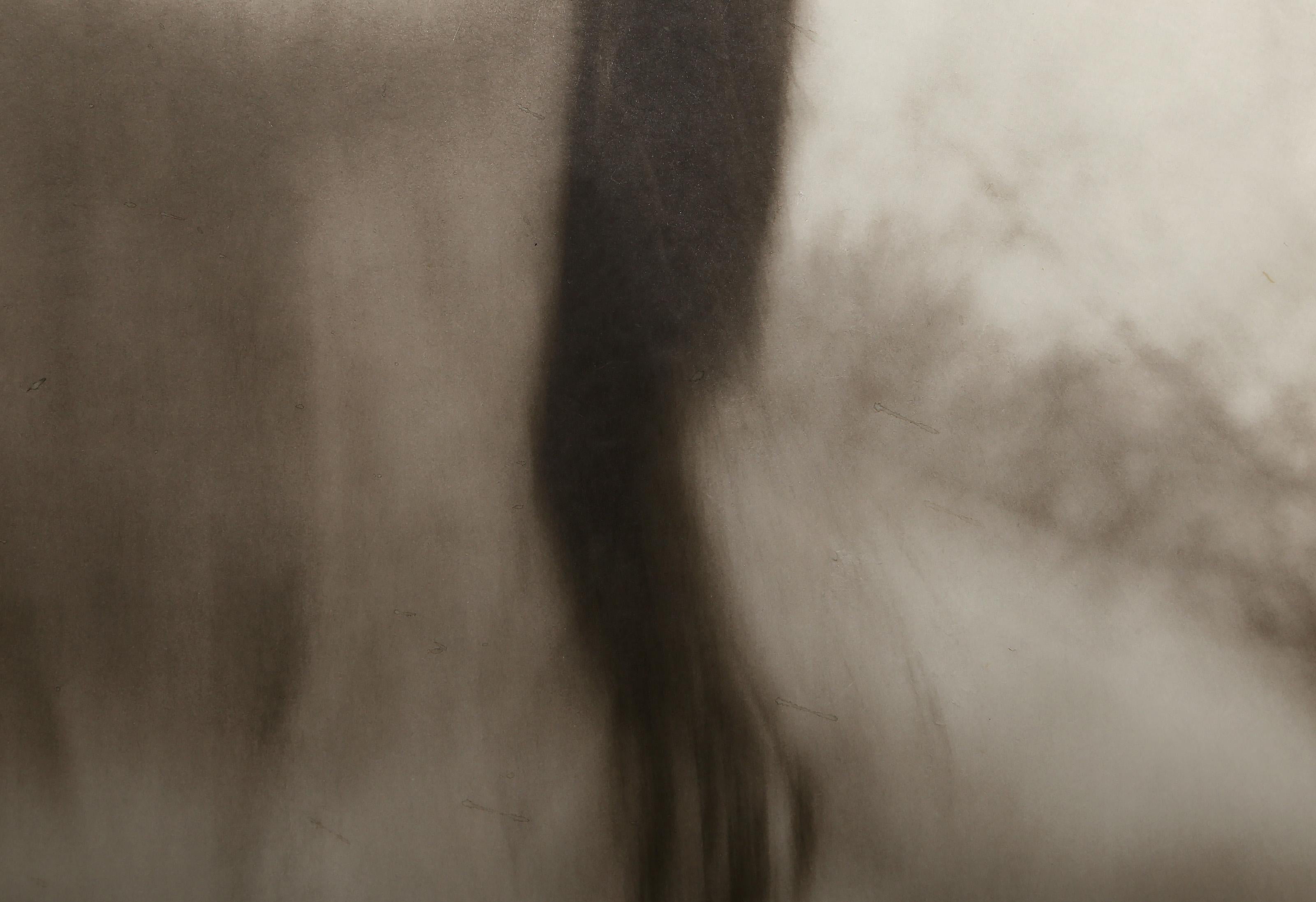 Autoporträt, surrealistische Fotografie von Diana Michener im Angebot 2