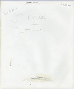 Barbara Bouchet Glamour Portrait Vintage Original Photograph