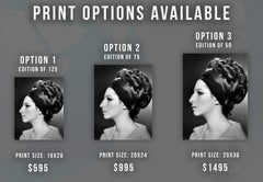 Barbra Streisand Stunning Profile Globe Photos Fine Art Print