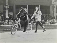 Retro Biking Bear - Photograph - 1960s