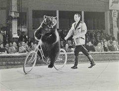 Bear Biking Bear - Photographie - Années 1960