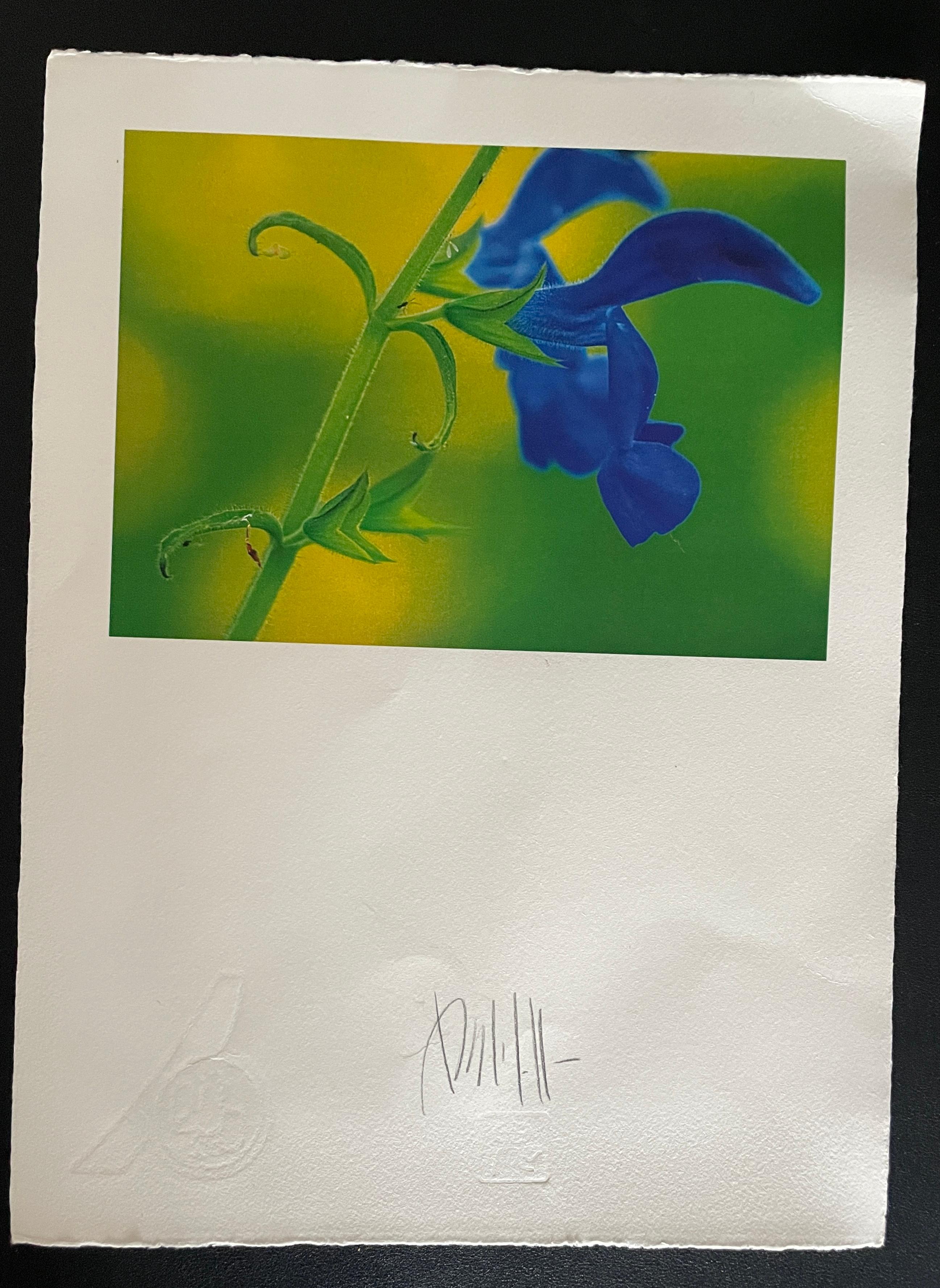 A stunning photograph printed on highly archival paper. 
Printed on 100% rag paper.