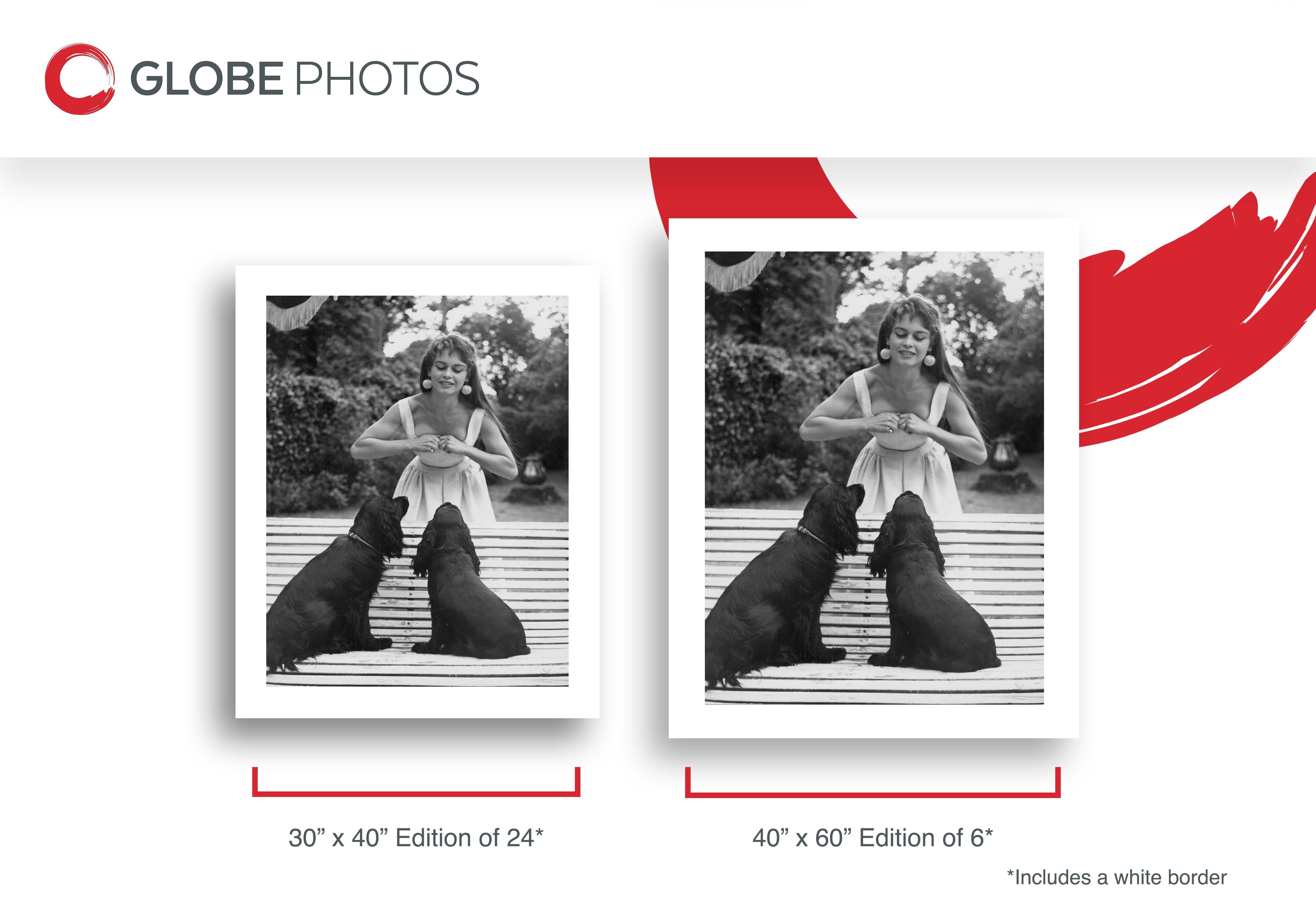 Candid image of French actress Brigette Bardot playing with her 2 dogs.

Brigitte Bardot is a French animal rights activist and former actress, singer, and model. Famous for portraying sexually emancipated characters, often with hedonistic