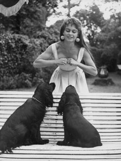 Brigitte Bardot et ses chiens