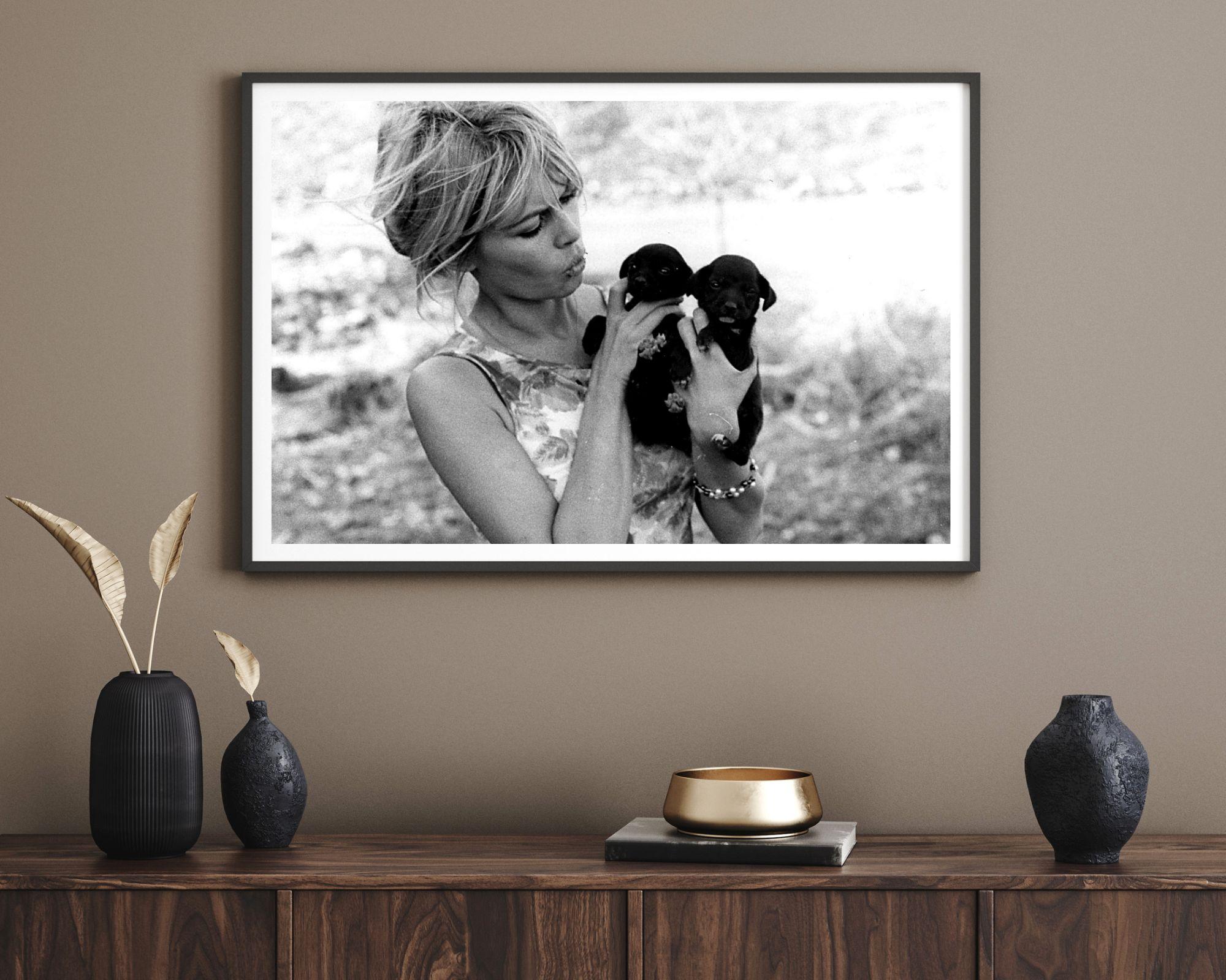 Brigitte Bardot che tiene in braccio dei cuccioli - Photograph di Unknown