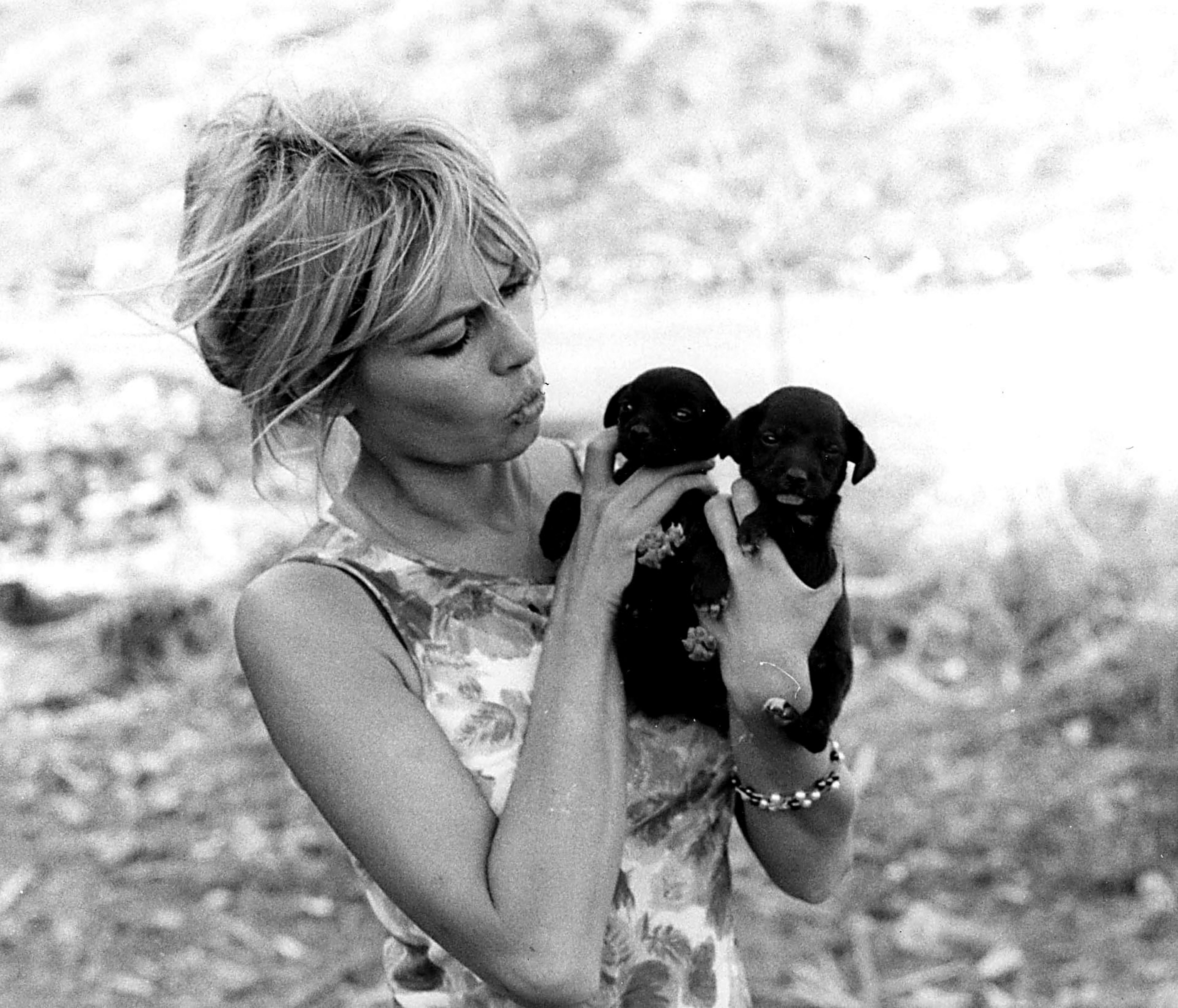 Portrait Photograph di Unknown - Brigitte Bardot che tiene in braccio dei cuccioli