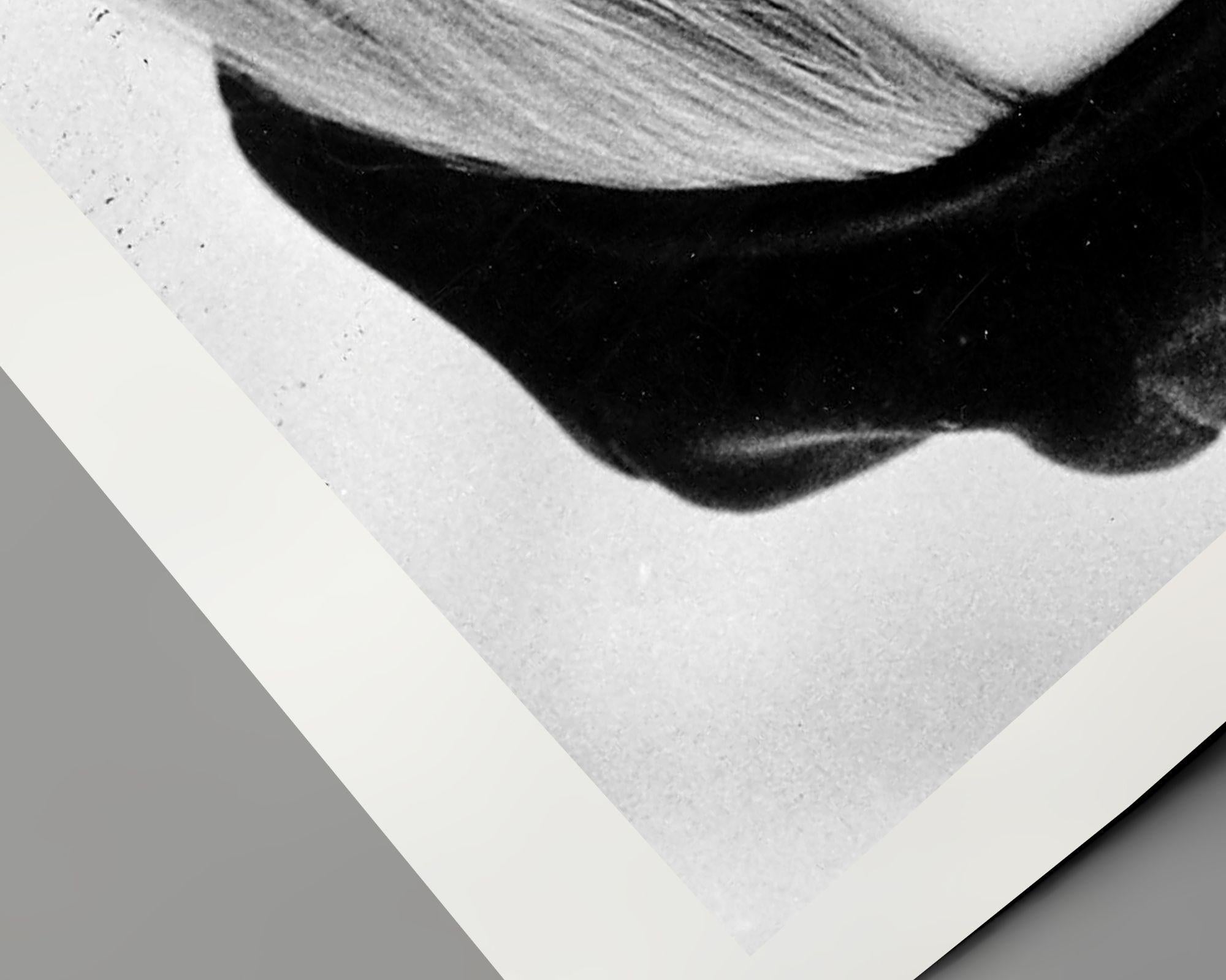 Brigitte Bardot con il berretto - Photograph di Unknown
