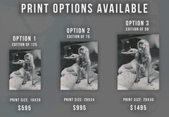 Brigitte Bardot in "La Parisienne" Fine Art Print