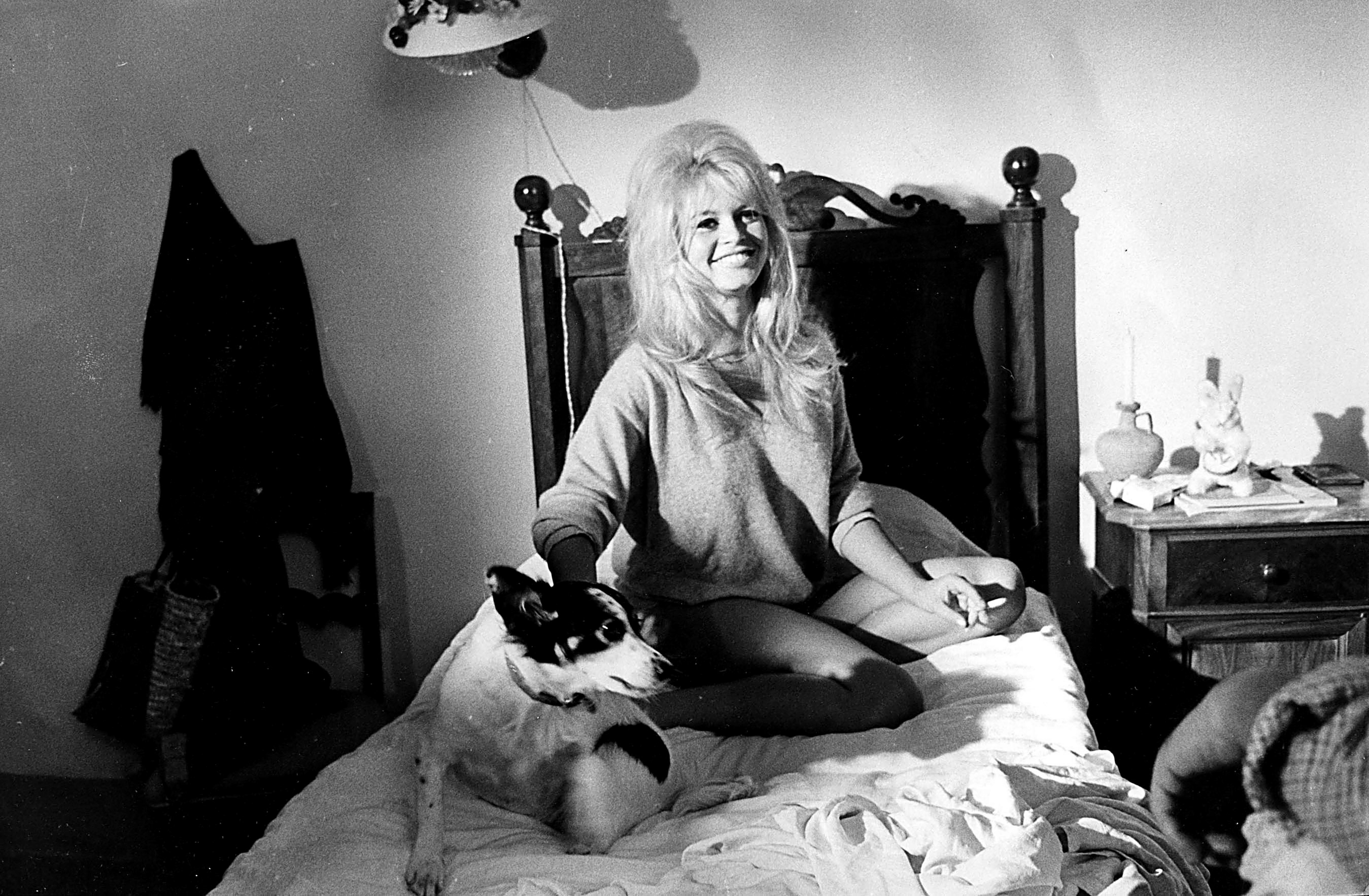 Unknown Portrait Photograph - Brigitte Bardot Smiling with Dog