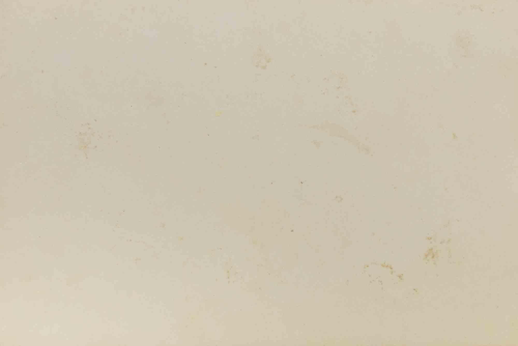 Fratelli - Fotografia - Metà del XX secolo - Photograph di Unknown