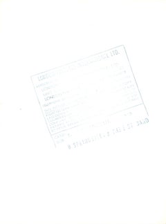 Bruce Springsteen with the E Street Band Vintage Original Photograph